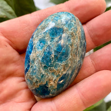 Indlæs billede til gallerivisning Apatit palmstone

