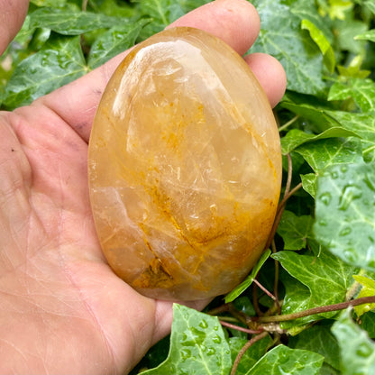 Golden healer form, Zambia