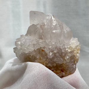 Boekenhoekhout spirit kvarts 91 gram