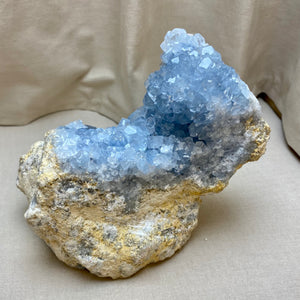Celestit geodebrud 1.303 gram
